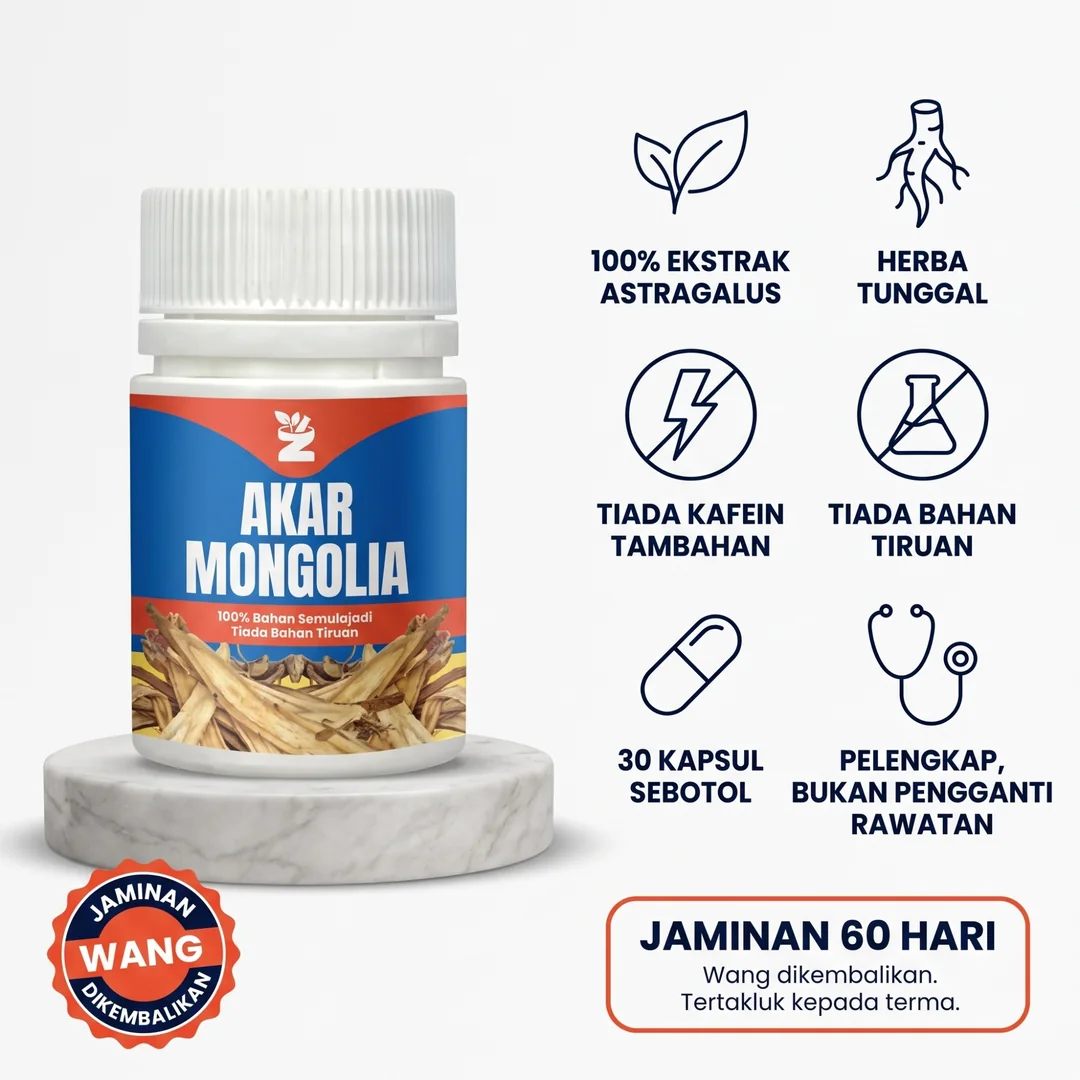 100% ekstrak Astragalus, herba tunggal, 30 kapsul sebotol, jaminan 60 hari