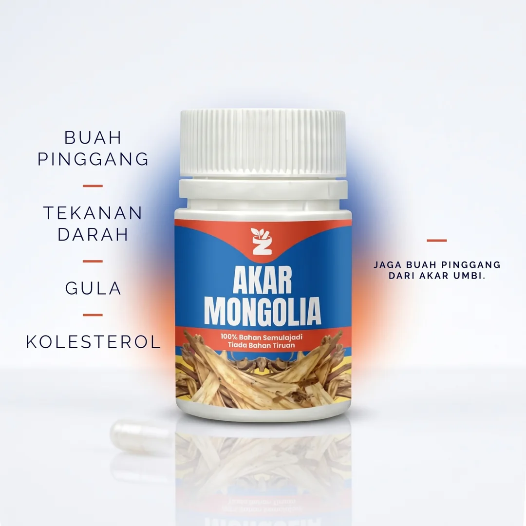 Akar Mongolia untuk buah pinggang, tekanan darah, gula dan kolesterol